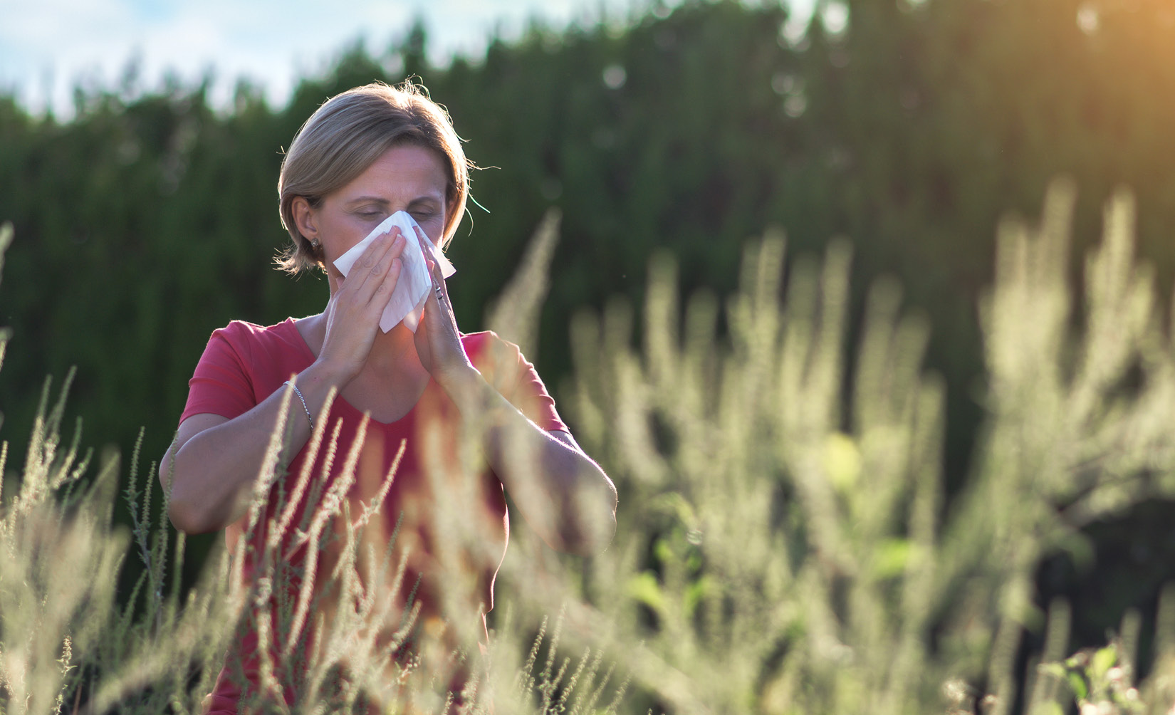 Dị ứng phấn hoa: Làm bạn Mệt mỏi